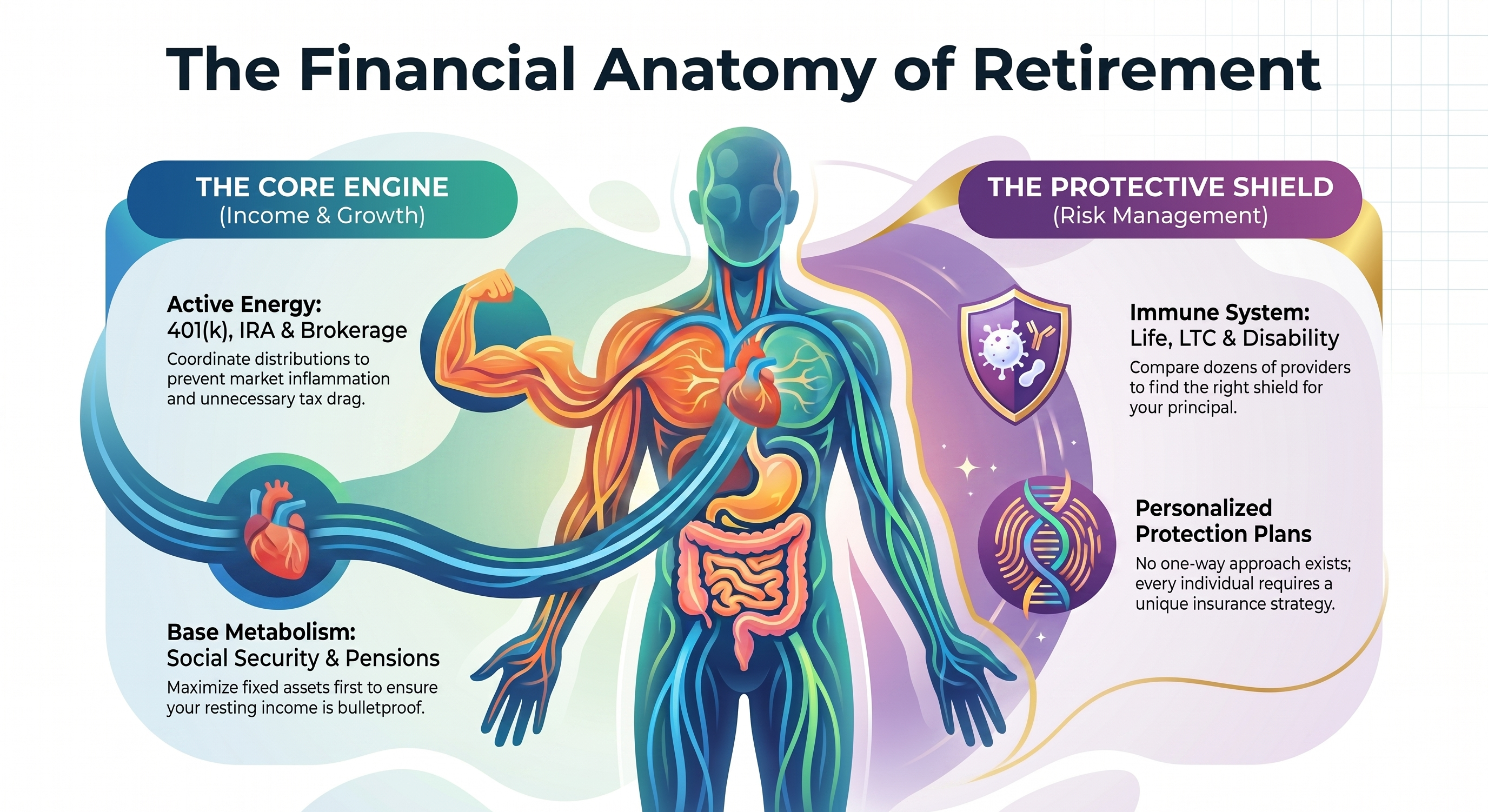 The Financial Anatomy of Retirement Infographic